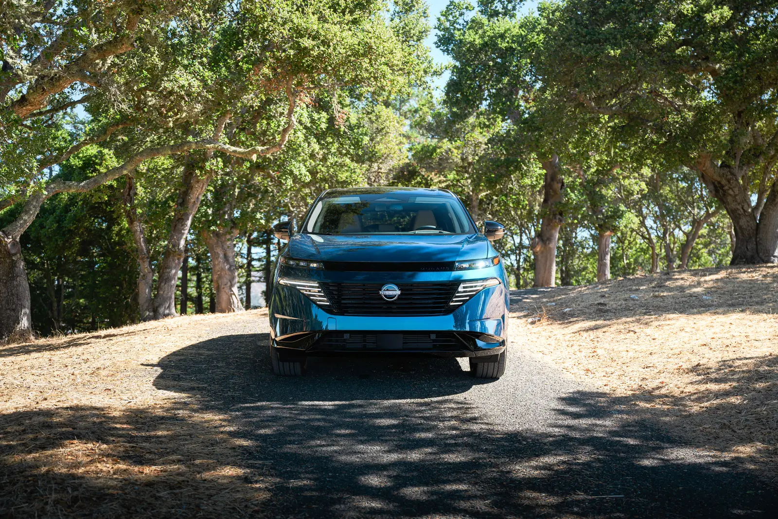 Nissan Murano 2025 PLATINUM Exterior
